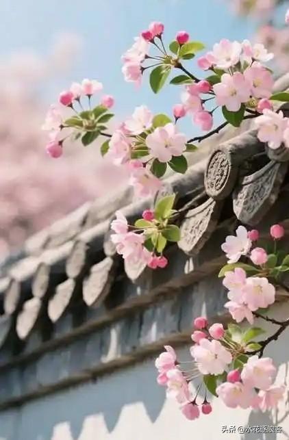 《红杏为何会出墙》


其一 · 春色越狱案
[微风][微风][微风]
春色满园