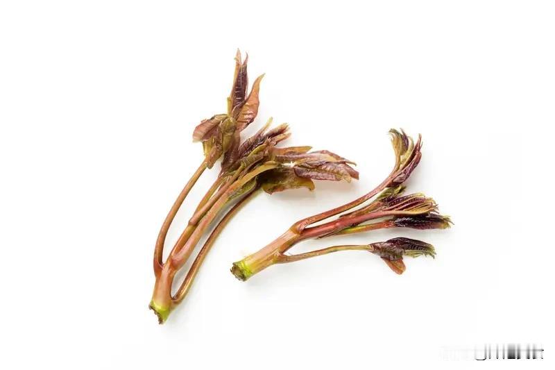 香椿芽富含营养，但季节性较强，为了能长时间品尝到香椿芽的美味，可采用以下几种不同