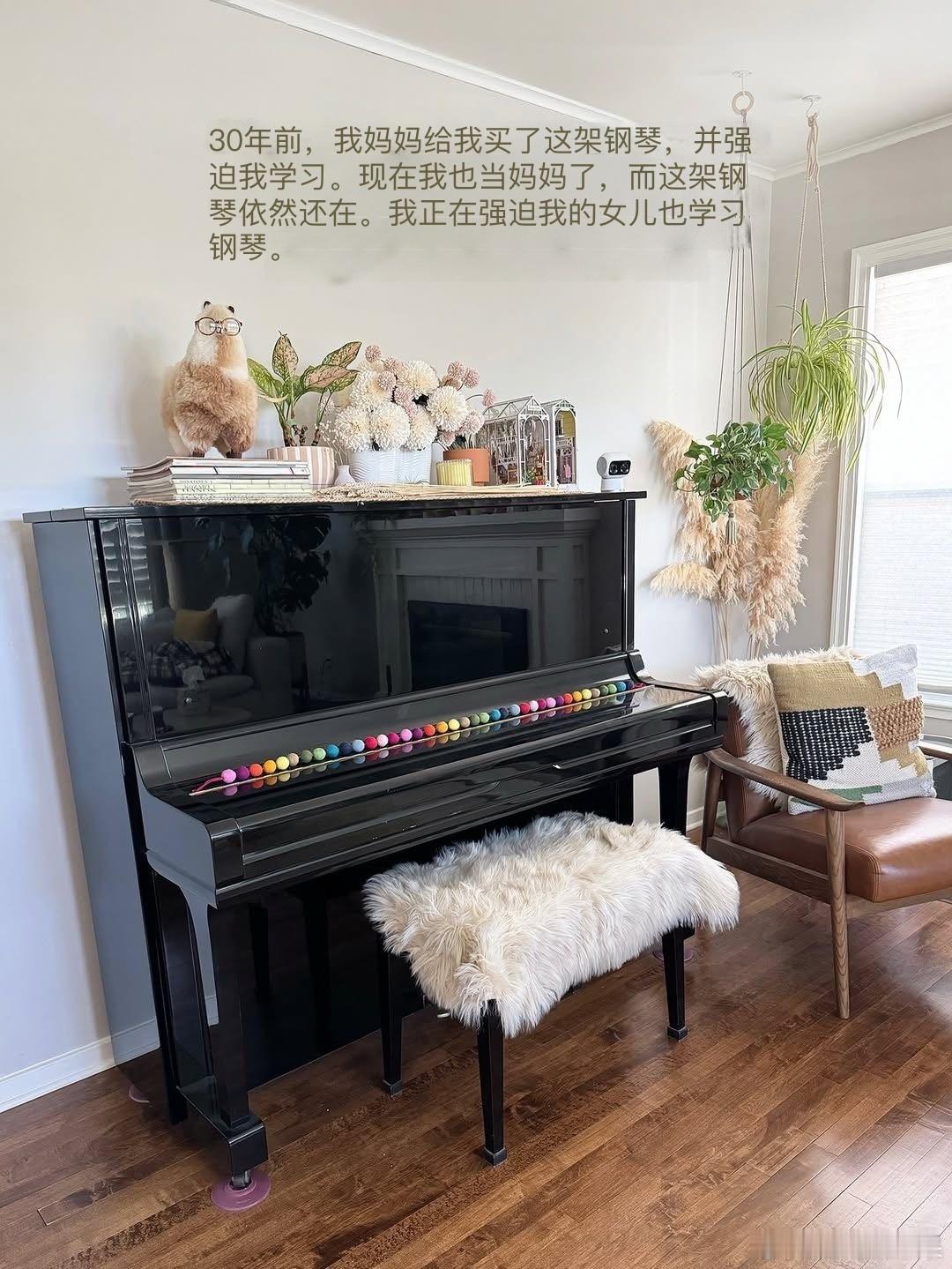 家族传统，小猫咪也不能例外🎹😅cr：patches.lima ​​​