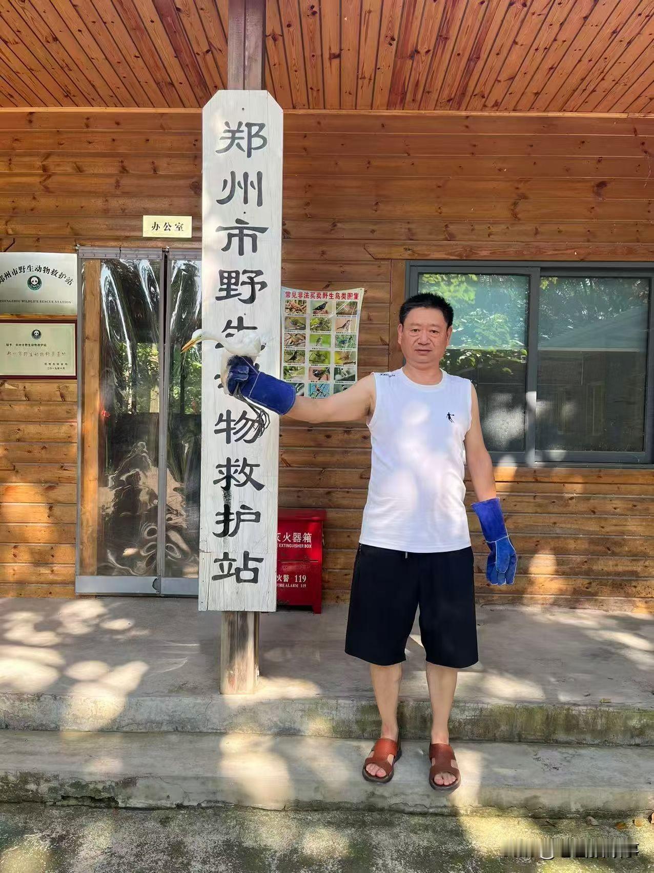 2026年8月9日，郑州市航空港区自然资源和规划局的工作人员，移交给郑州市野生动