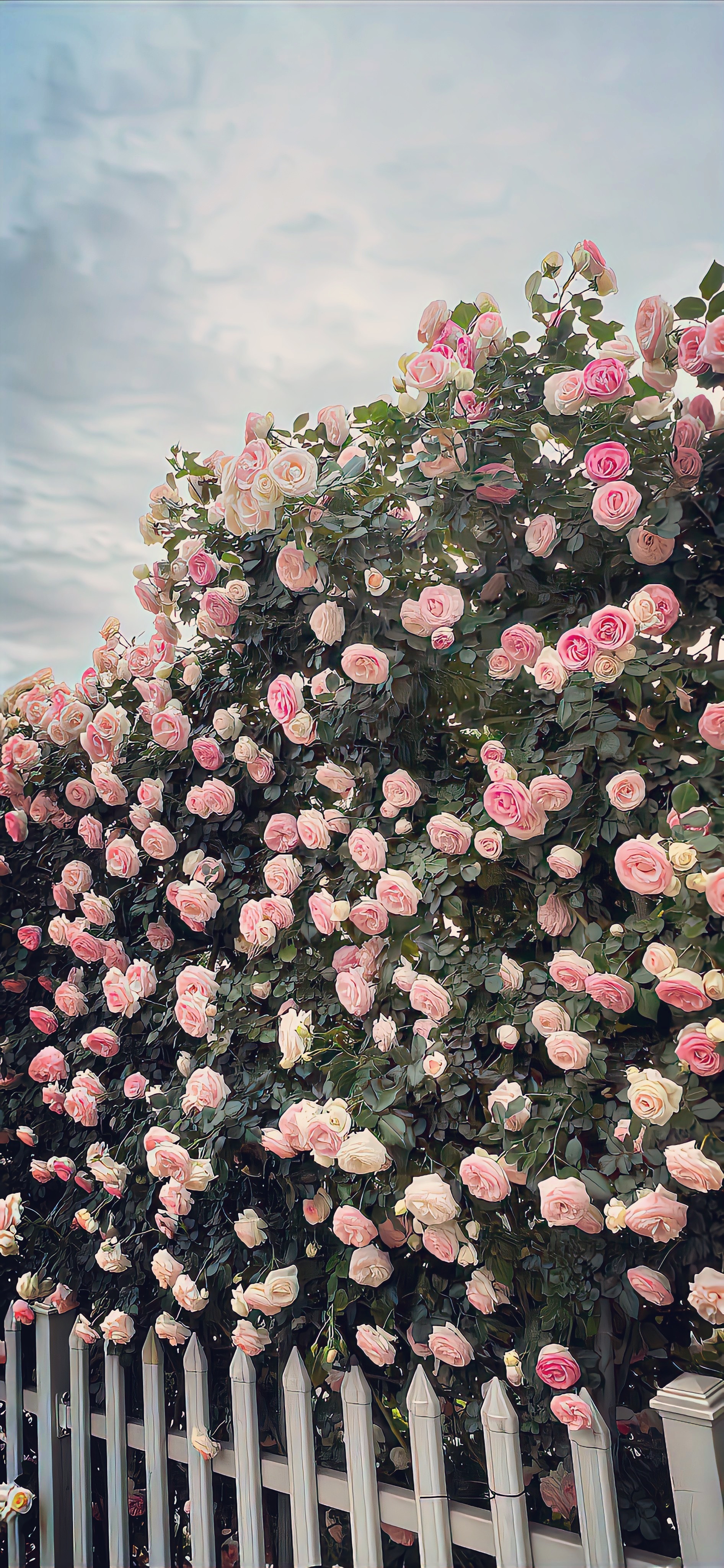 iOS26手机壁纸｜壁纸分享｜3D景深壁纸｜热门壁纸｜iOS26艺术壁纸 