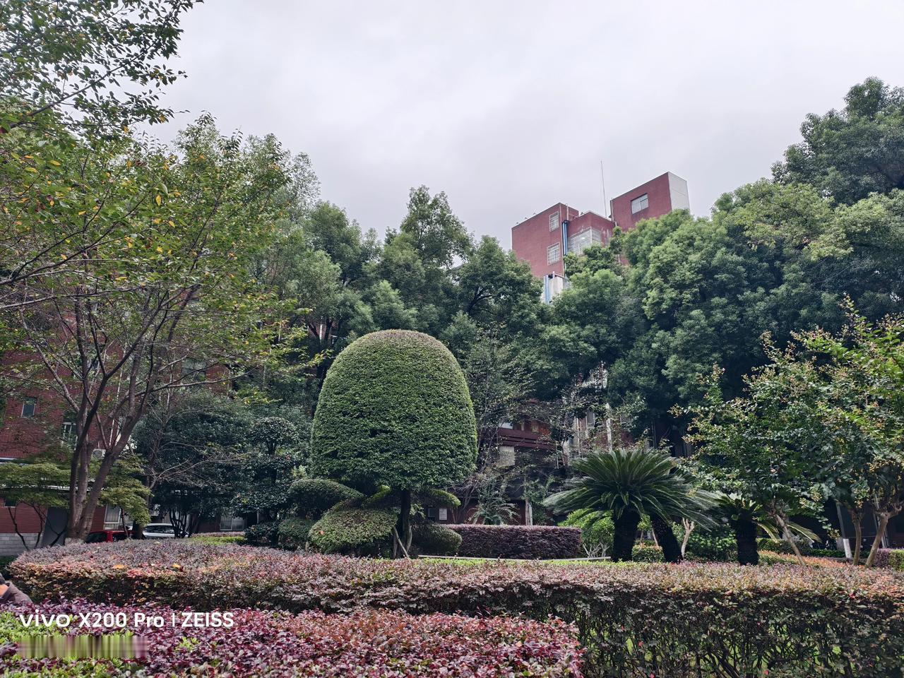 这是武汉大学口腔医院里的小区花园，在楼房林立的地方，有这样一个绿植花园，是一个好