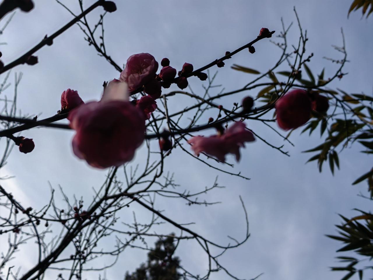 同事说，去银行办个事，填两次单子才办妥，第一次把“2026”填成“2025”了。