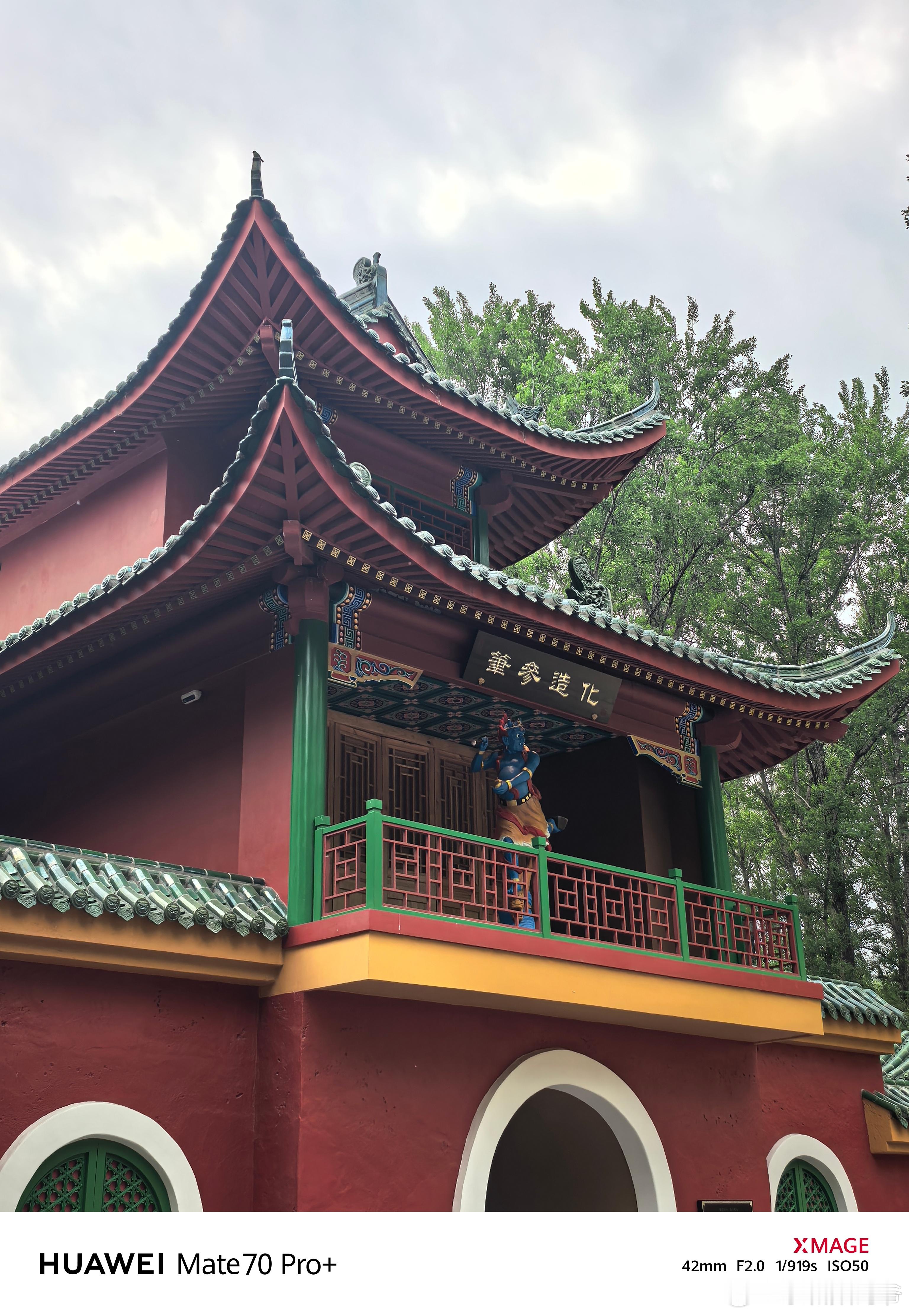 昨天大兴野生动物园拍的，应该可以表现出红枫影像的强大了吧[加油][加油][加油]