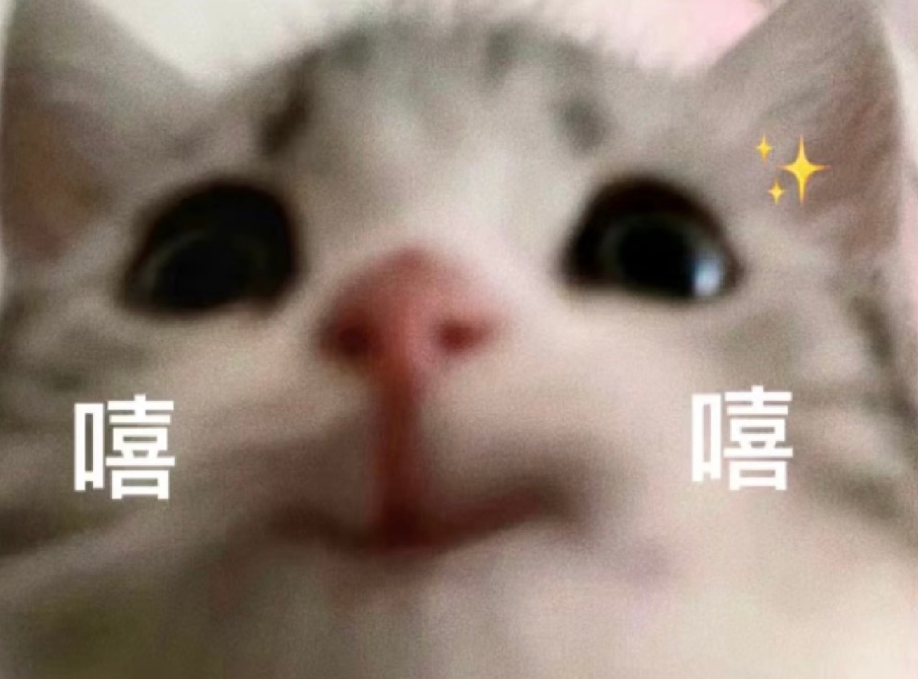 有没有什么好喝的夏日饮品推荐🍹 