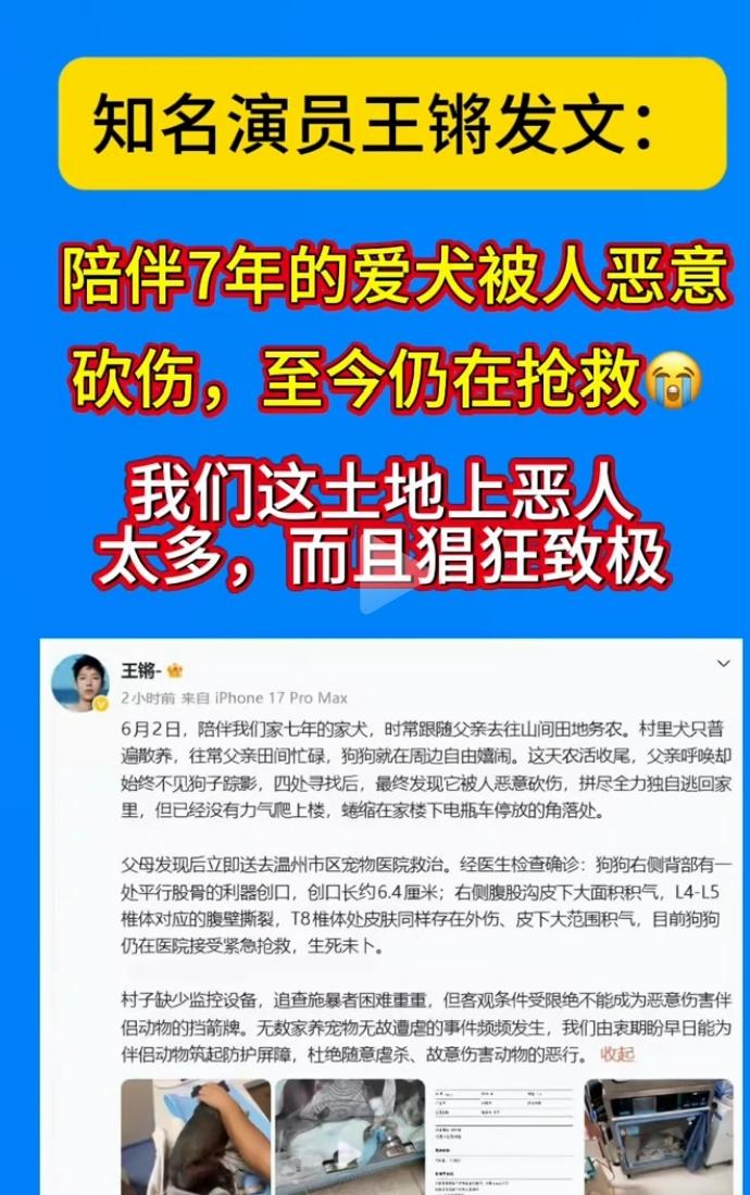 我竟然不知道说什么！