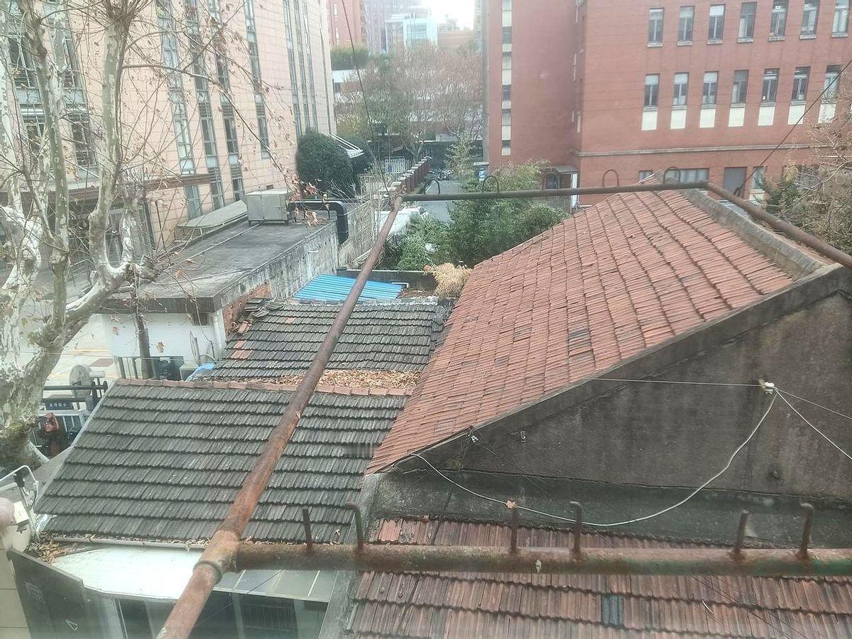 早上站在徐汇一间民宿阳台向外看，高架和写字楼像积木一样层层叠叠，却偏偏夹着一块上