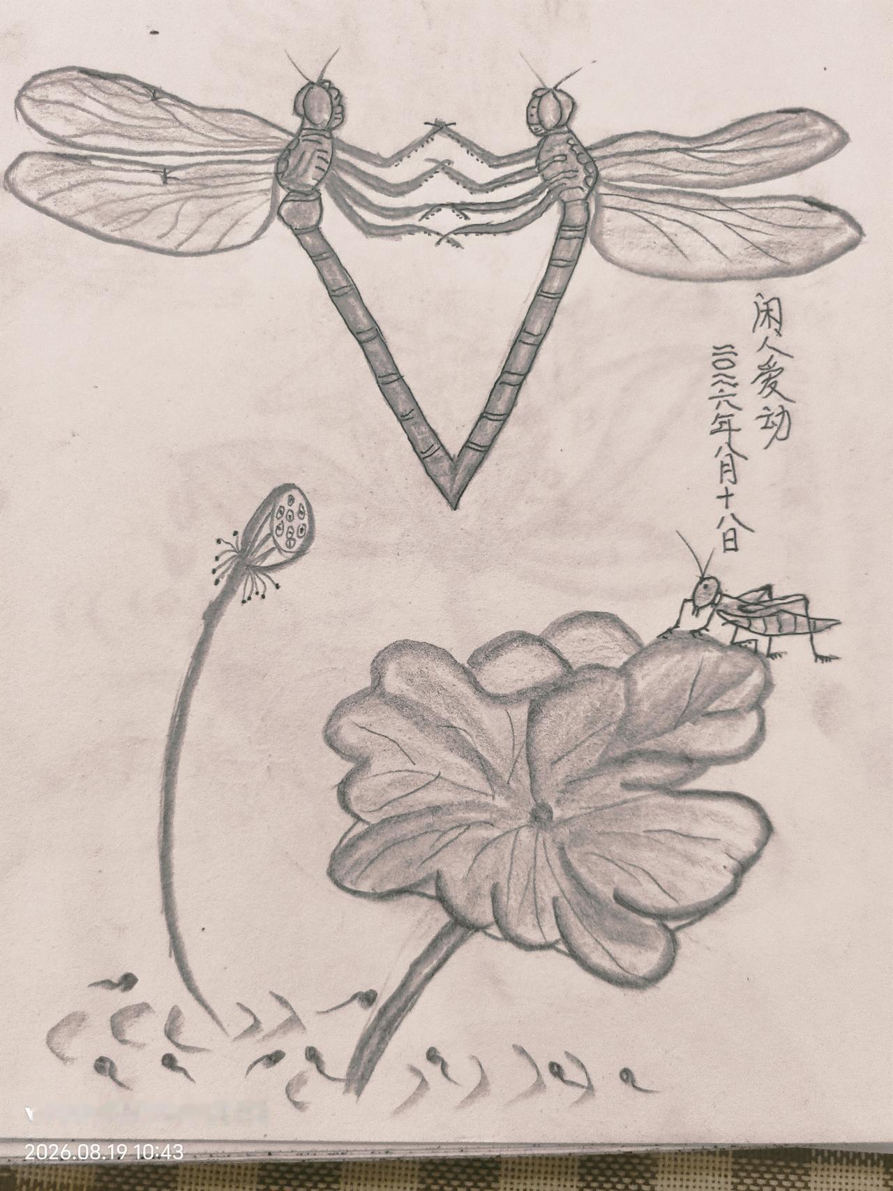 并非空中芭蕾
        闲人爱动在家闲的无聊，又手拿铅笔做起了手工——绘了