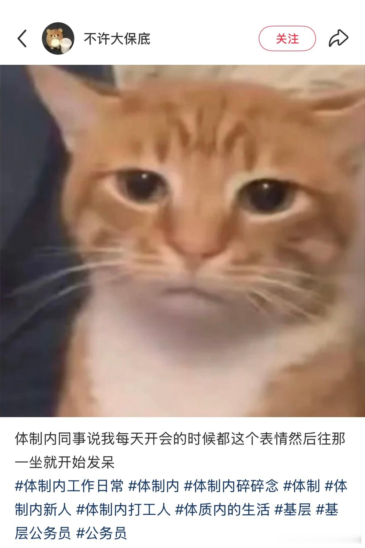 疑似我上班照片流出 ​​​