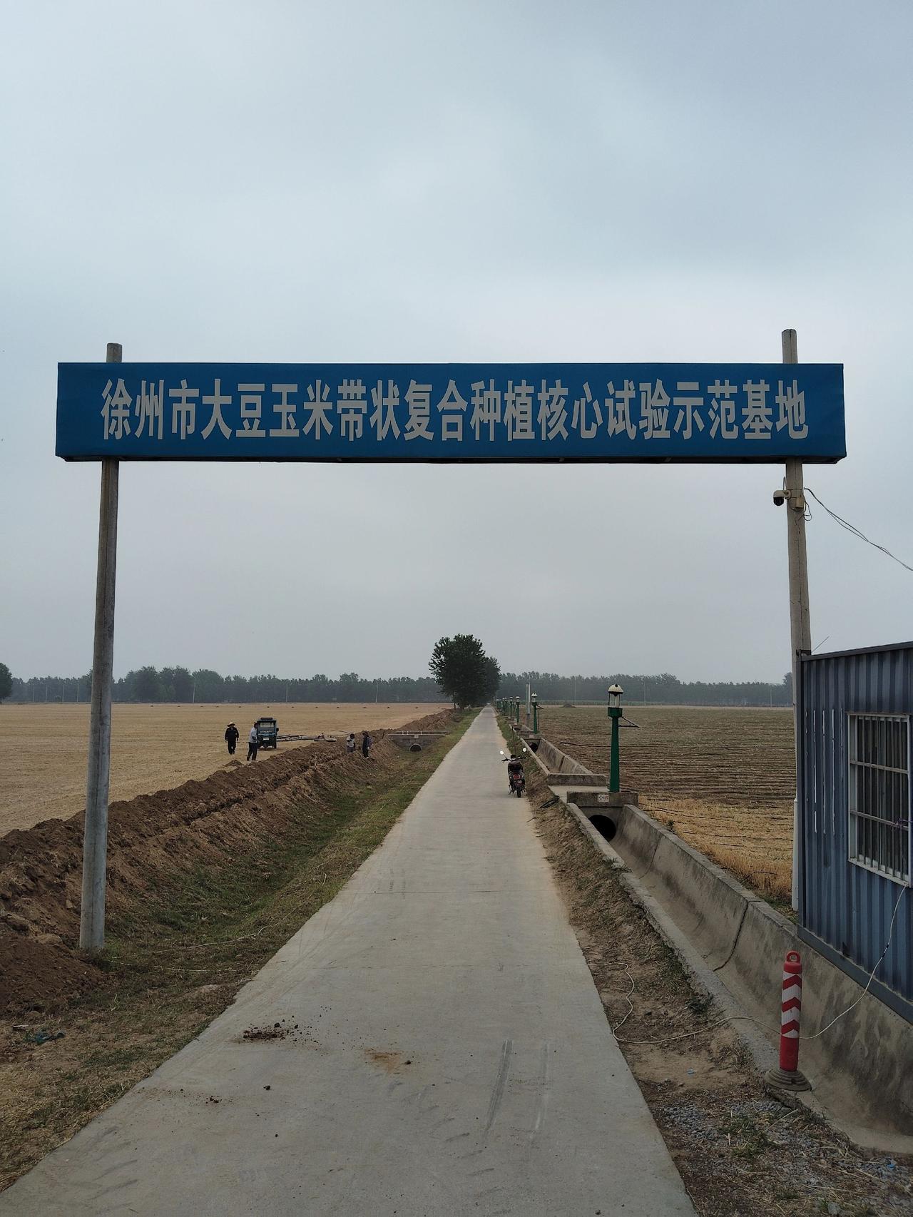 高产创建 水肥一体化 复合种植
