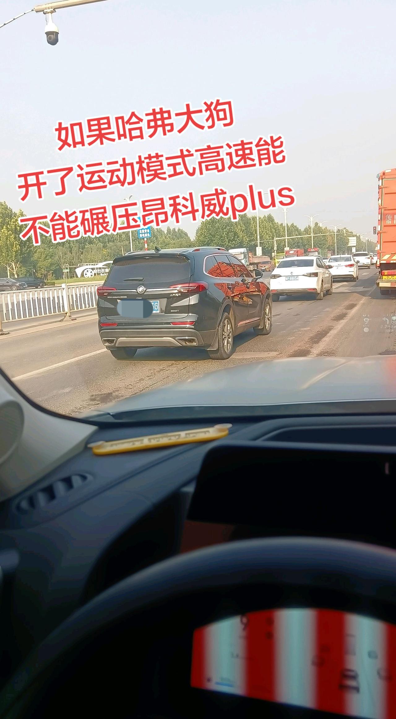 没有大狗的 真不知道大狗的运动模式有多厉害