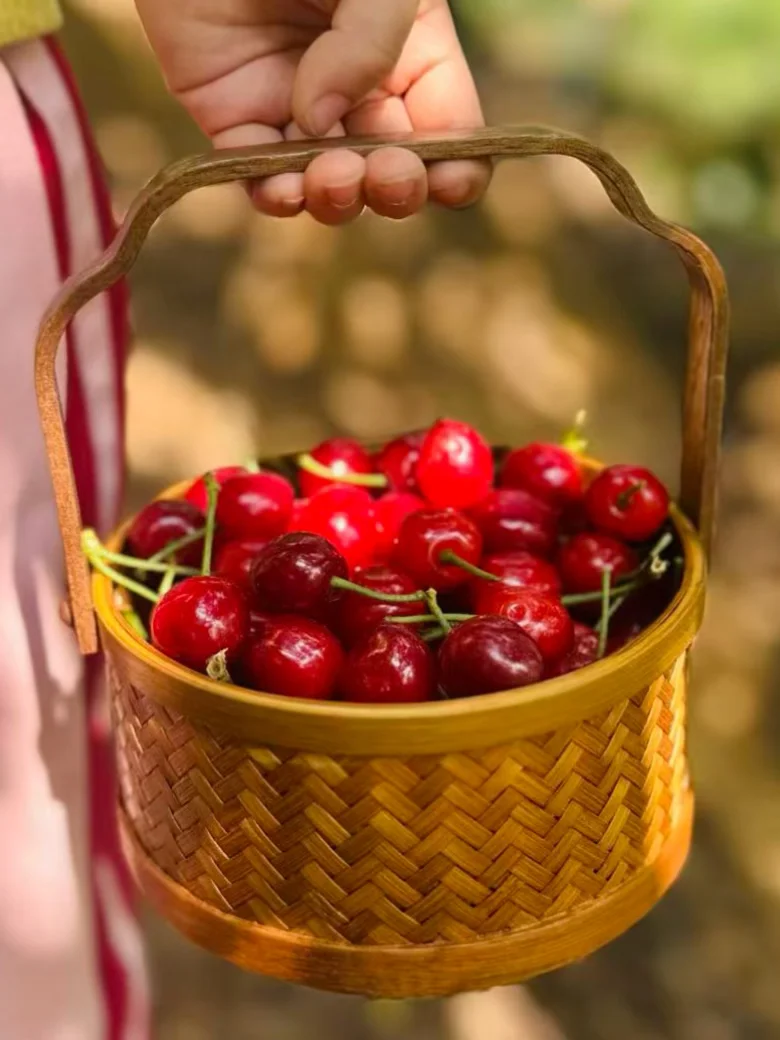 一年就只能吃吃20天，尽量别错过了！