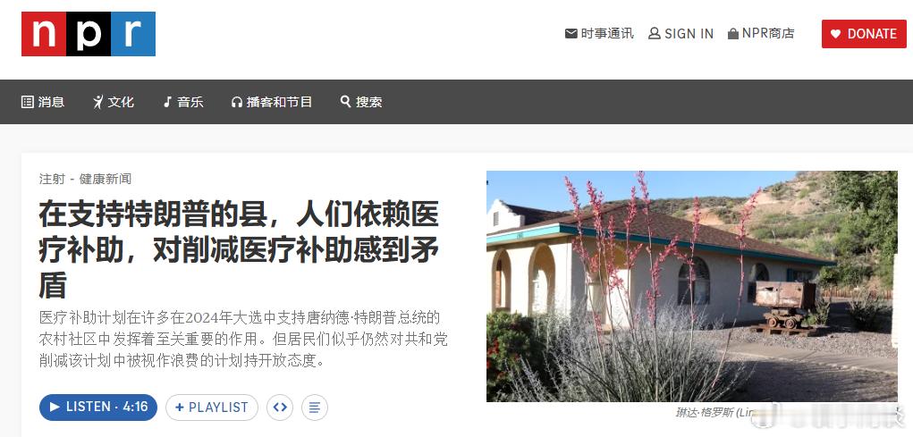 送句中国俗话：“哑巴吃黄连，有苦说不出” [允悲] 美式民主 ​​​