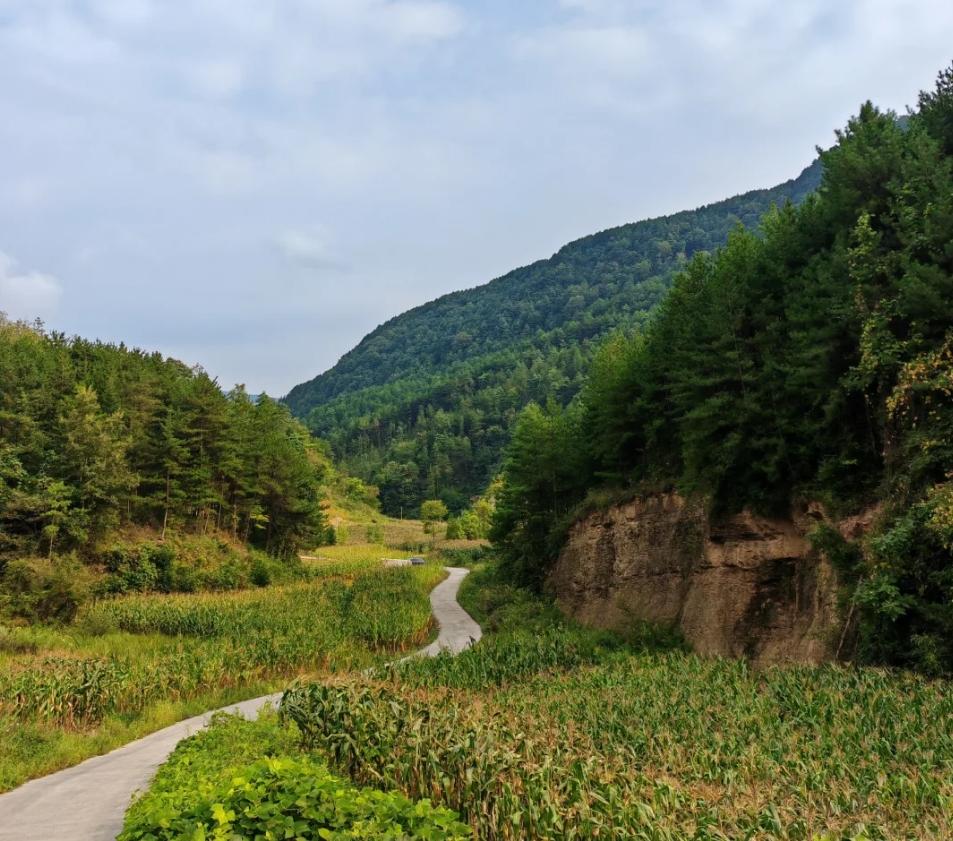 从沧桑古道到葱郁山林，曾家山用四季变幻的风景讲述着自然与人文的故事。徒步其间，感