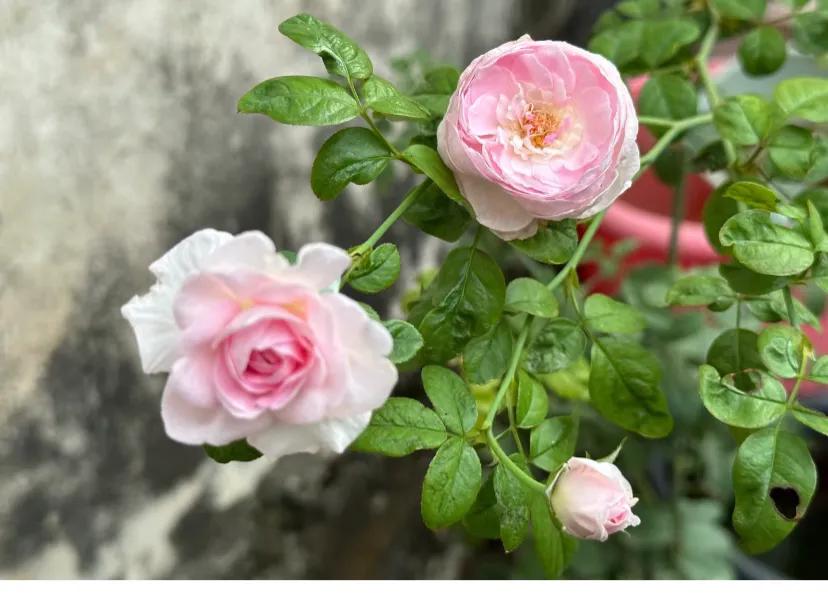 给朋友借了三万块两年后还了三万
两年前朋友说要买房，首付不够，跟我借我三万块钱，