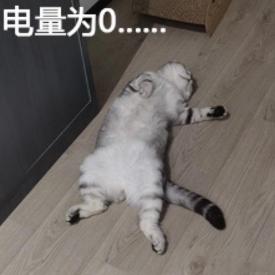 五一出游人为了充电能有多努力 这届游客简直人均“充电特种兵”！在人山人海的景点，