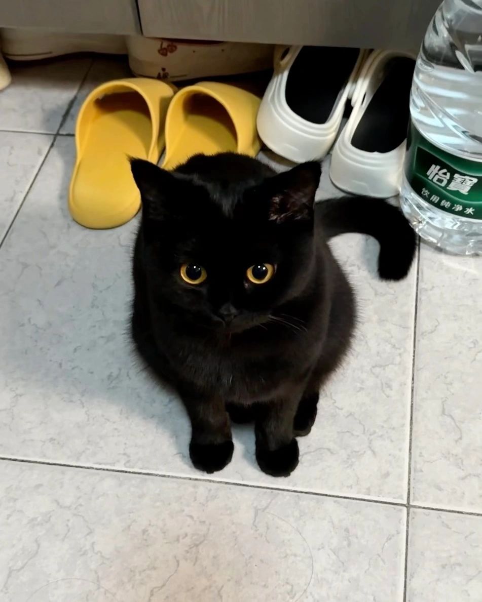 宝一大早就站军姿啊