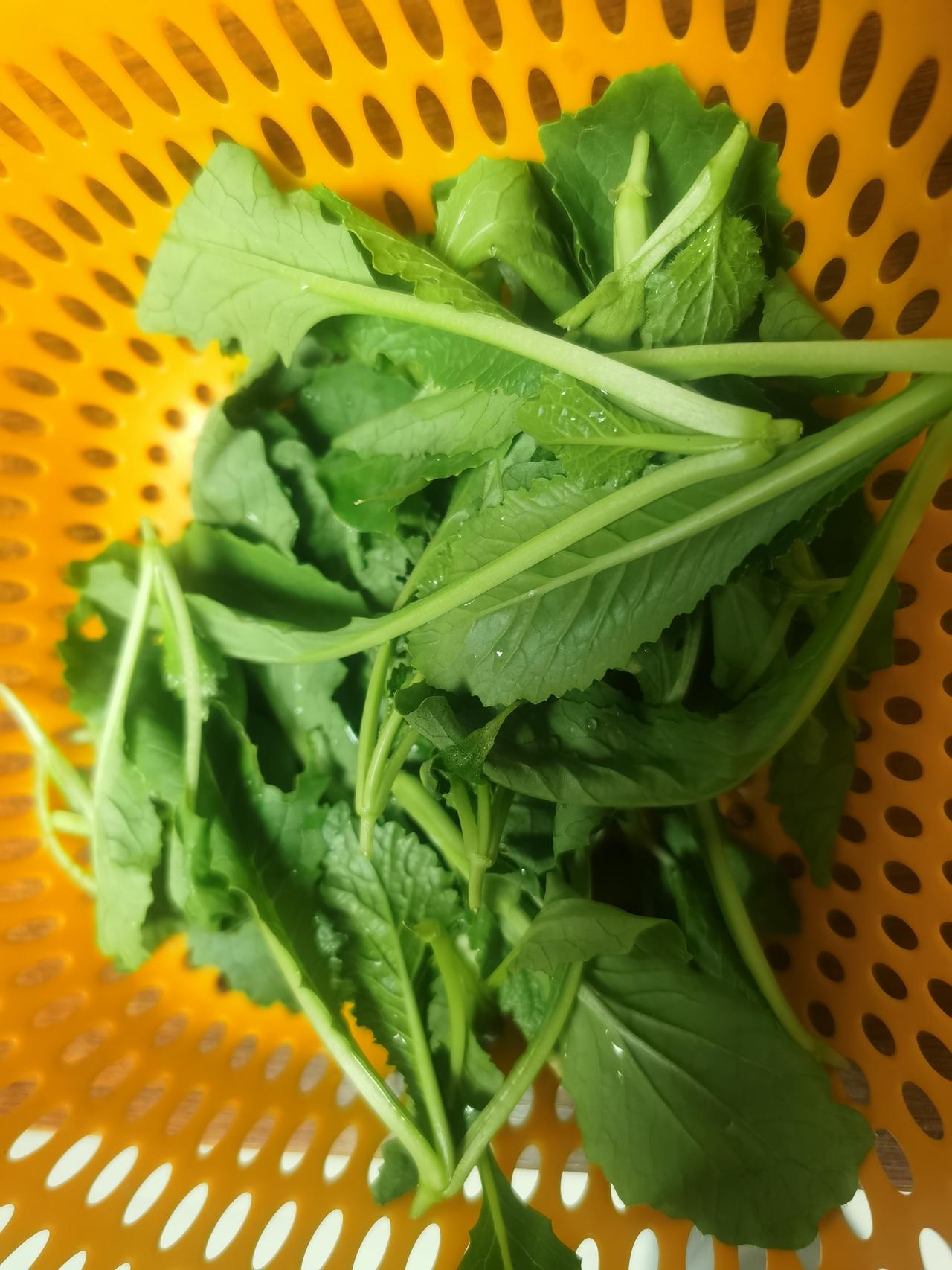 随手拍美景分享