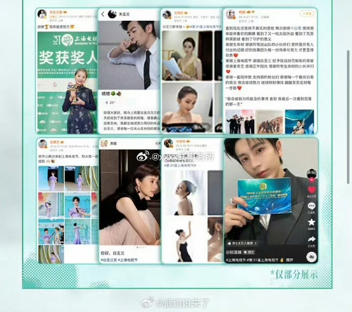 白玉兰收官战报，张凌赫单人独占一个板块 