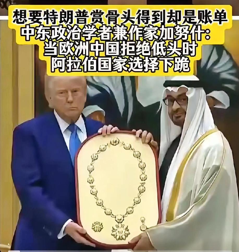 扎铁了，老心！卡塔尔作家米斯费尔向阿拉伯国家发出的这句灵魂拷问，振聋发聩、令人深