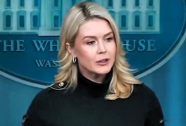 记者:“国土安全部长诺姆是否犯了错？以至于总统需要派霍曼去明尼阿波利斯？”

卡