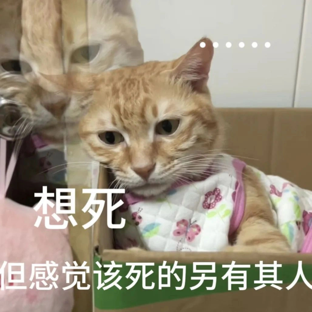 好用表情包合集 ​​​