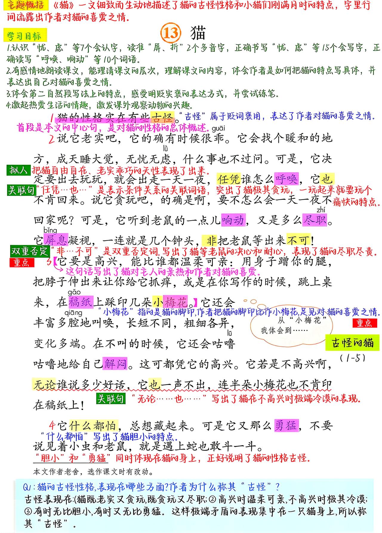 四年级下册语文，第13课《猫》课堂笔记，收藏复习三年级语文