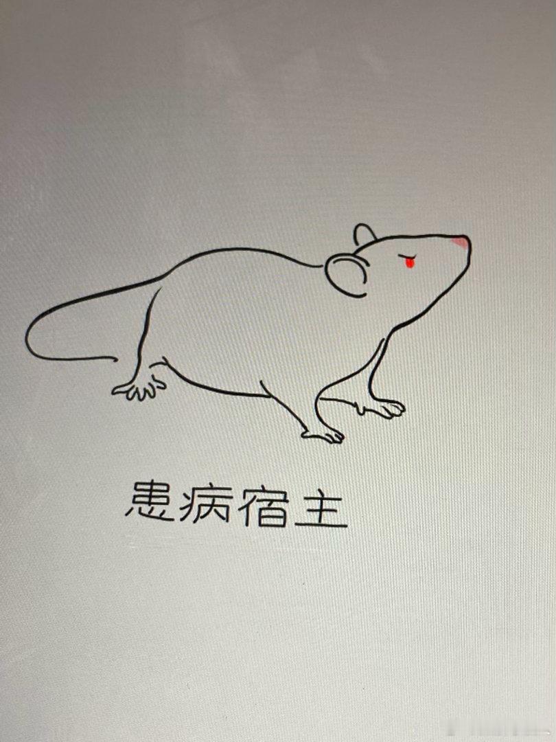 离书稿完成又近了那么一点点 收工啦