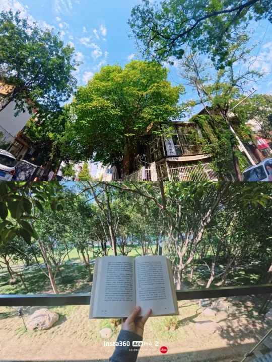 非常喜欢的一句话： “会在公园里抬头看从树叶缝隙透出的阳光的人，是不可...