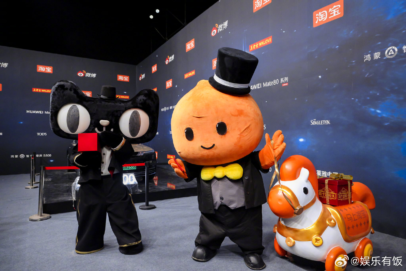 微博之夜红毯显眼宝 淘小宝猫天天不愧是微博之夜红毯上的显眼宝，两崽推着福气马车水