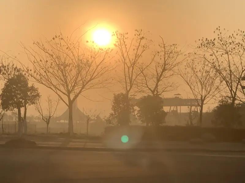 人真的不能太闲，哪怕已经六十岁，只要身体健康的情况下，我还是建议大家能有自己的工