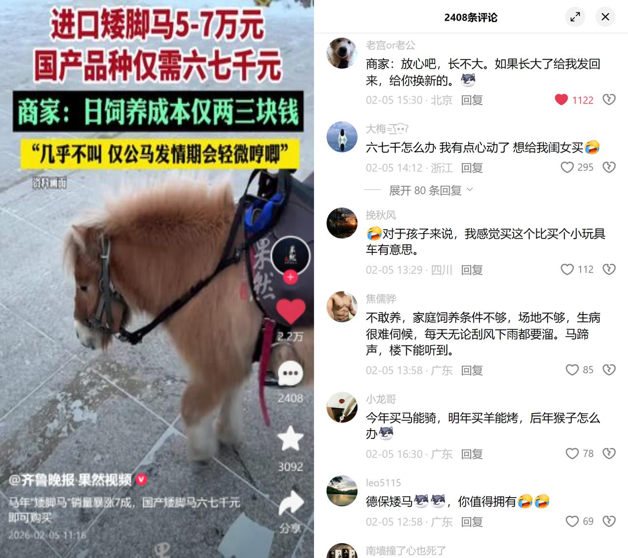 马年矮脚马爆火，小心踩坑

最近不少人被六七千买矮脚马的宣传勾了心，商家说它