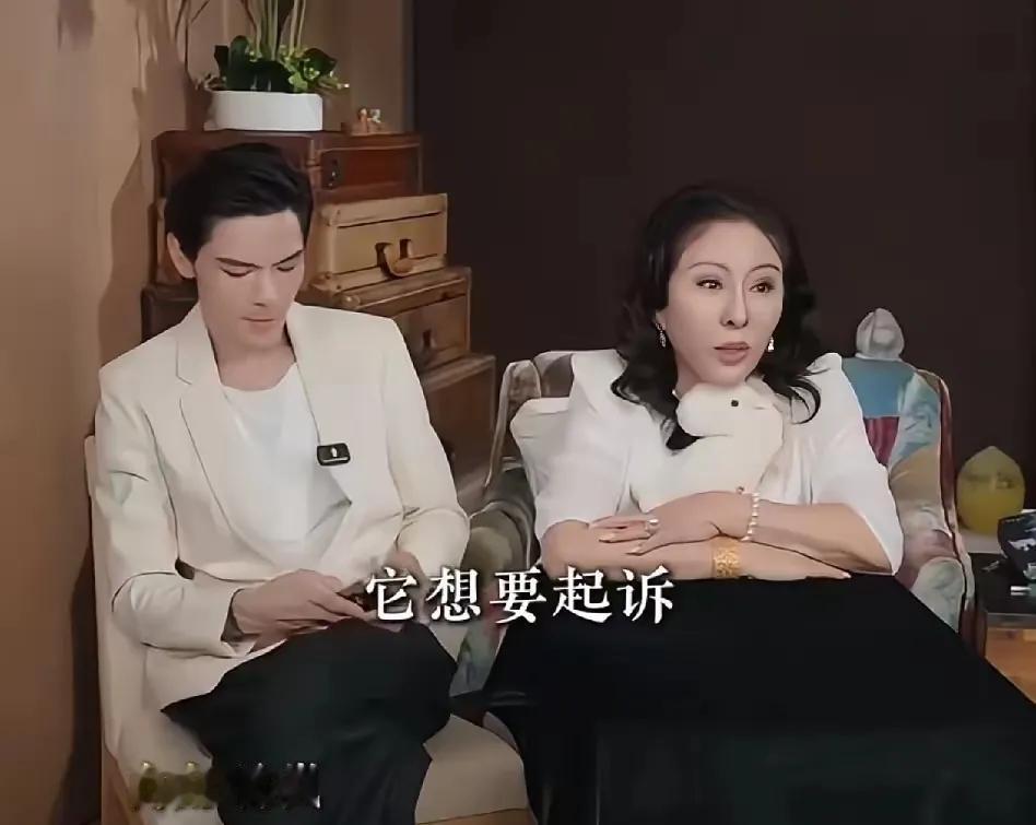 向太当年居然也差点被LV起诉，只因为做对一件事，才扭转局面，让对方主动放弃了诉讼