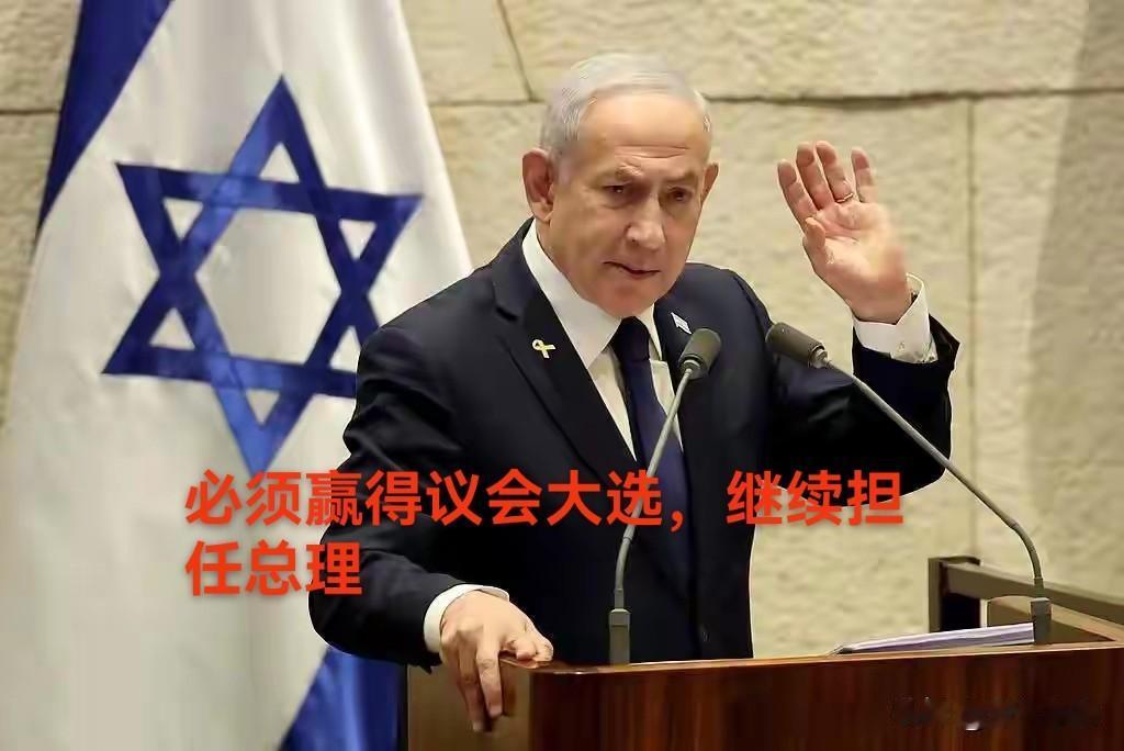 根据以色列宪法以色列总理没有绝对的刑事豁免权，但是享有议会程序豁免和在任期内不得