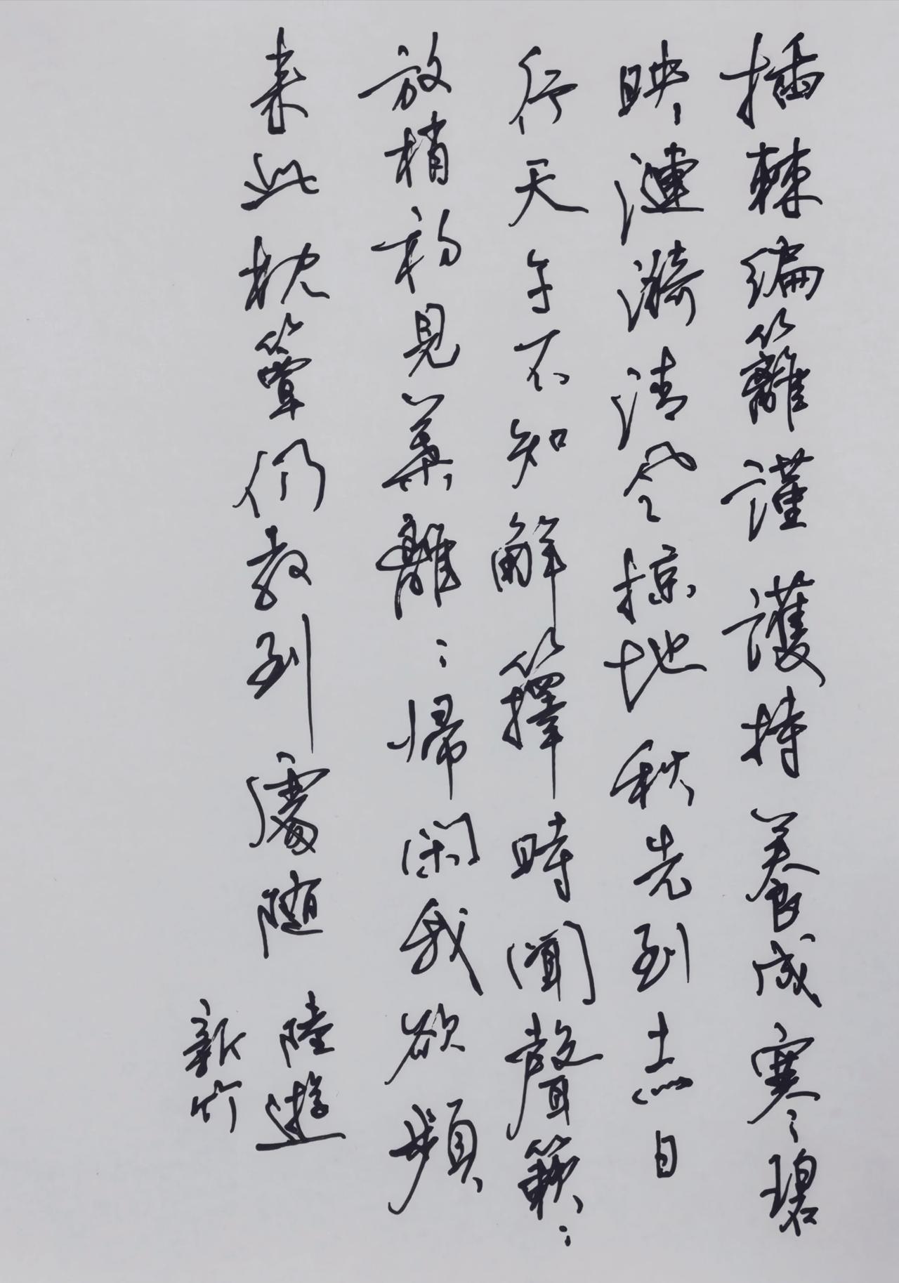 中性笔书写，不加一点修饰。
宋·陆游《新竹（东湖新竹）》✍️
一、诗文释读（右起
