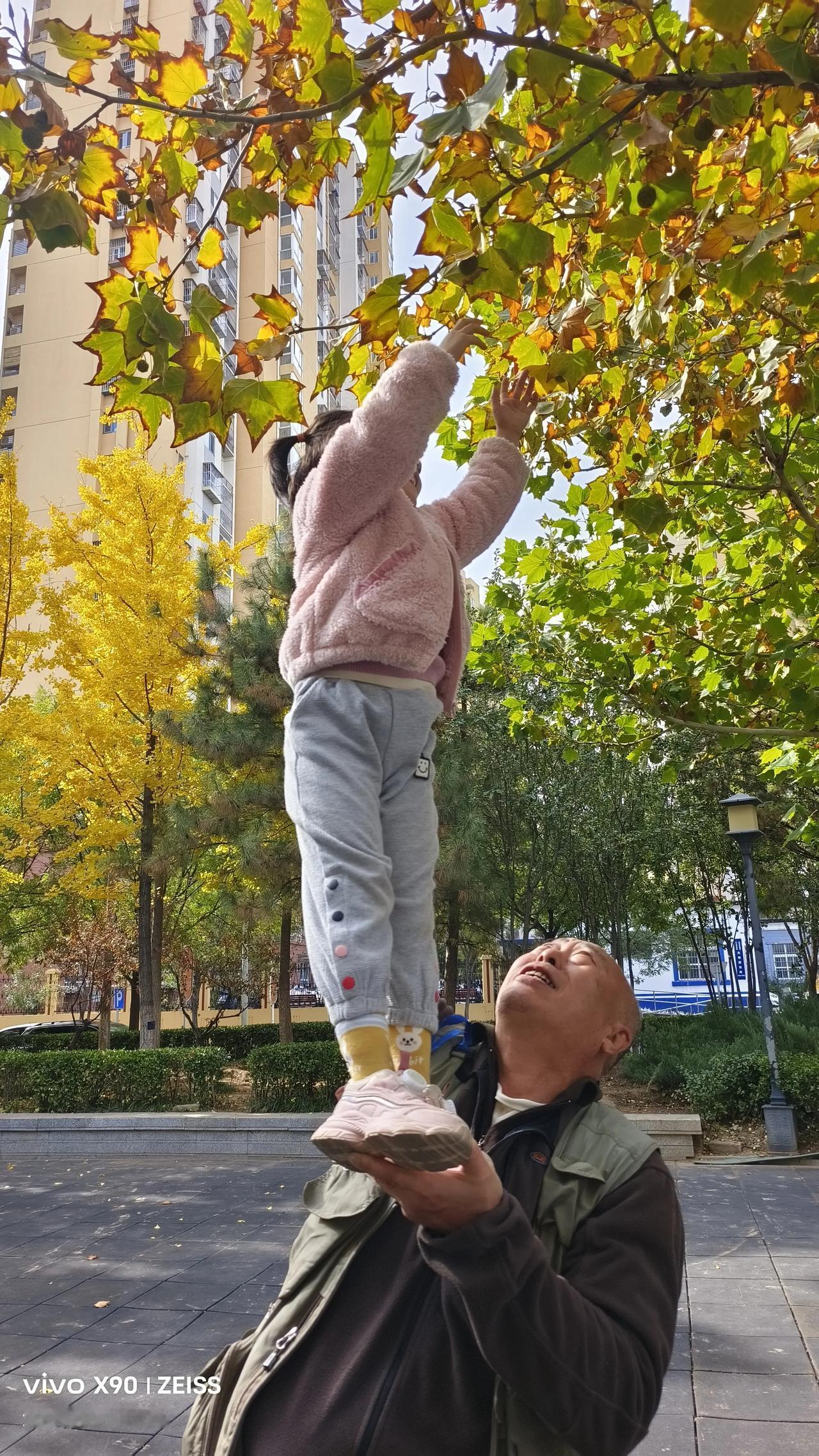 #分享一张秋景的树叶的照片#