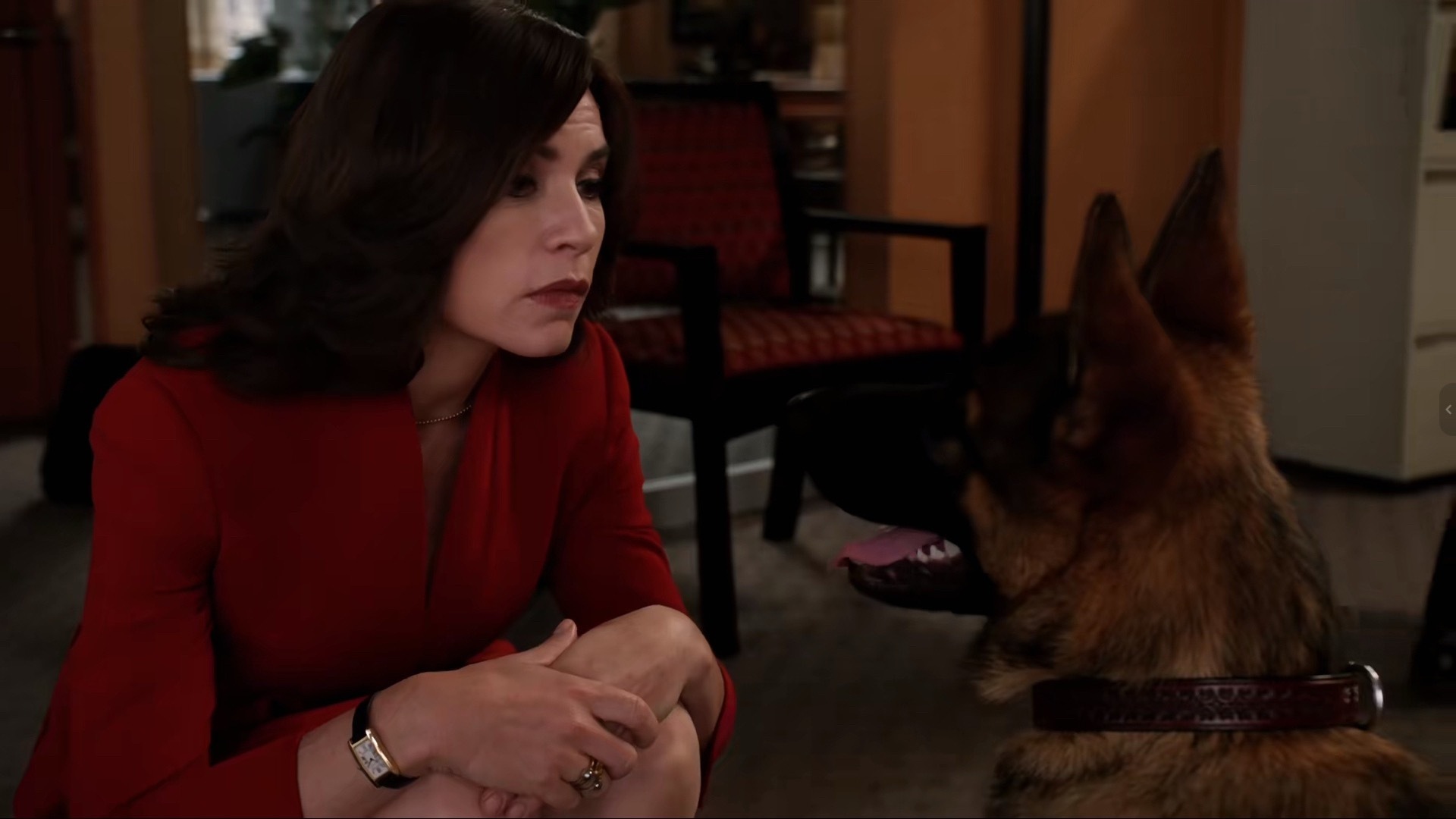 23643【tgw】家母和我🥰🥰🥰每日一Alicia Florrick