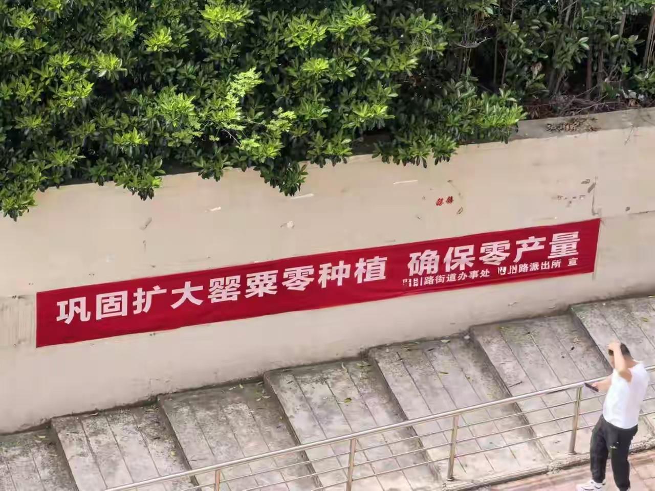 要么是书念多了，
要么是书念少了，
这种标语只能出自这两种人之手。