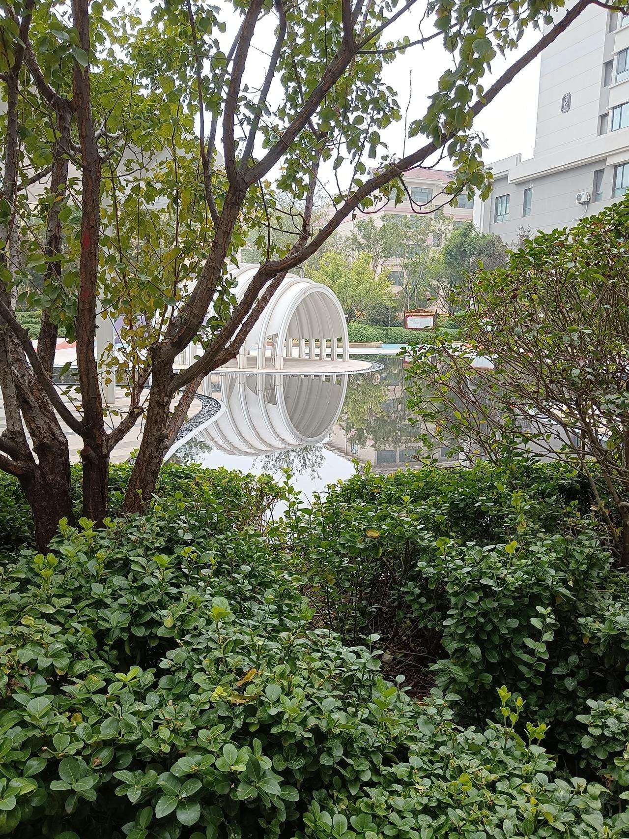 那天下午，现在想起来，也就一点半左右，反正是人正少的时候，我放下车，准备去小区门