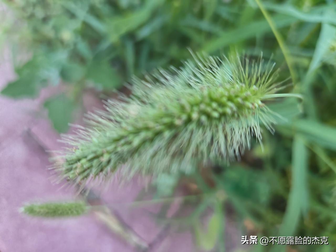 又是崭新的一天
一天好心情
你认为的正确
可能是错的
很多人喜欢自以为是
主观判