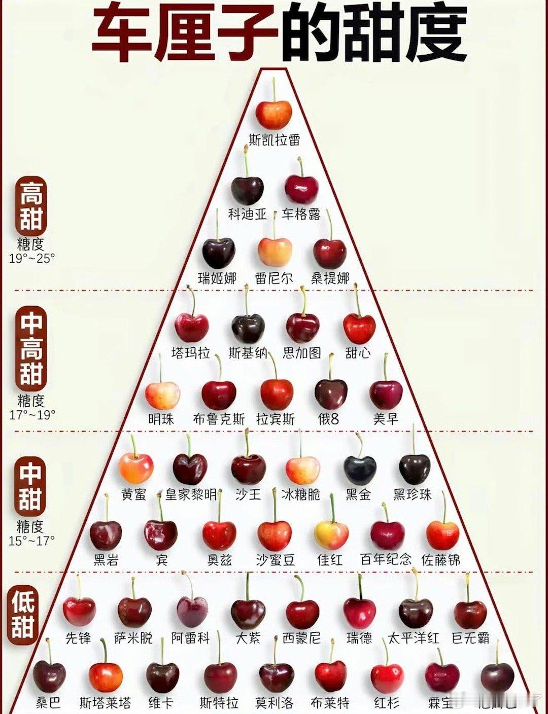车厘子价格暴跌近40%车厘子自由来了！到了年底，一年中最冷的时候，也是南半球水果
