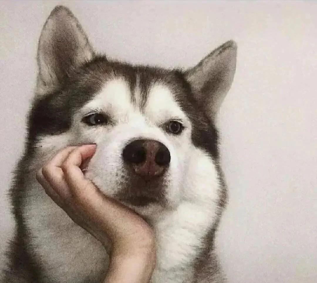 为啥现在的女孩张口闭口就是：
为啥要给他家干活，
为啥要伺候他家人，
为啥要给他