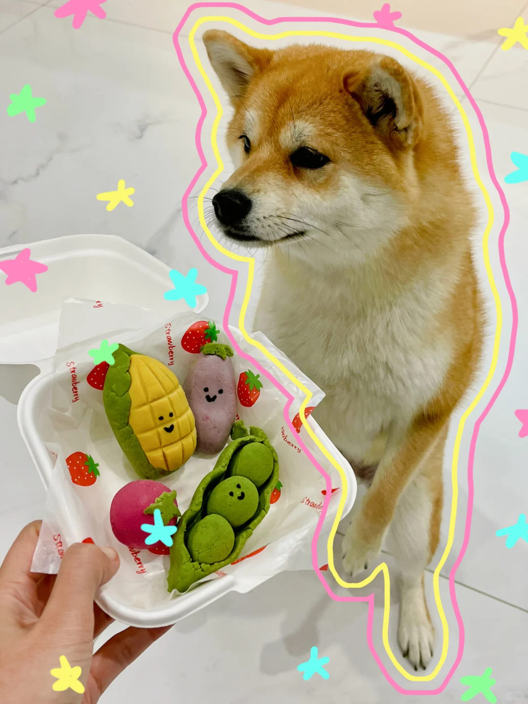 啥？Mascot宠物烘焙店竟燃能做JellyCat？