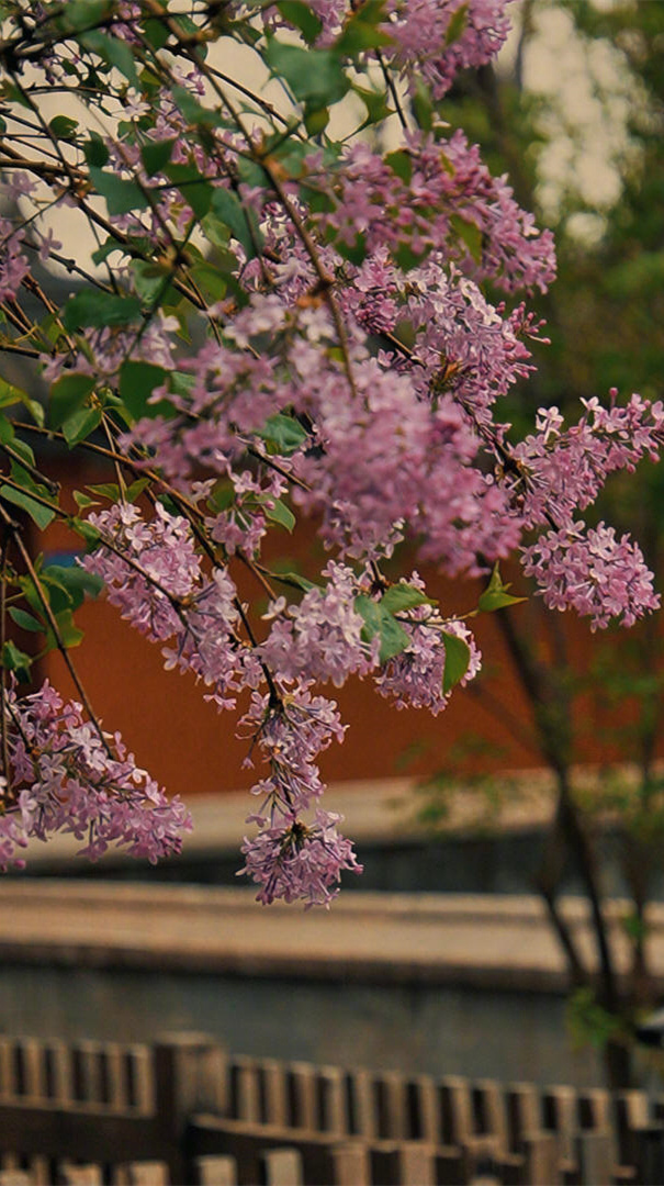 人生本就是场未知旅途。心态不好，处处皆碰壁；心态对了，很多事就顺了。少一份计较和