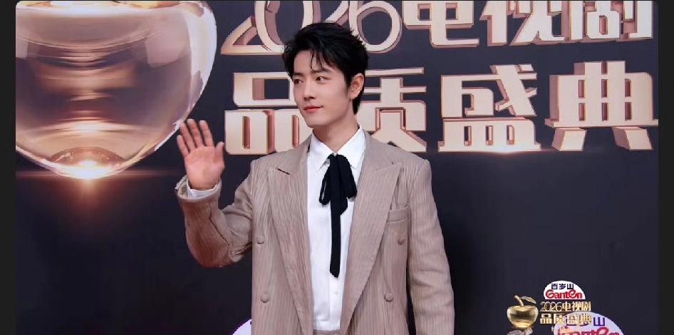 2026年3月9日，肖战以《藏海传》主演身份压轴亮相电视剧品质盛典，手握年度卓越