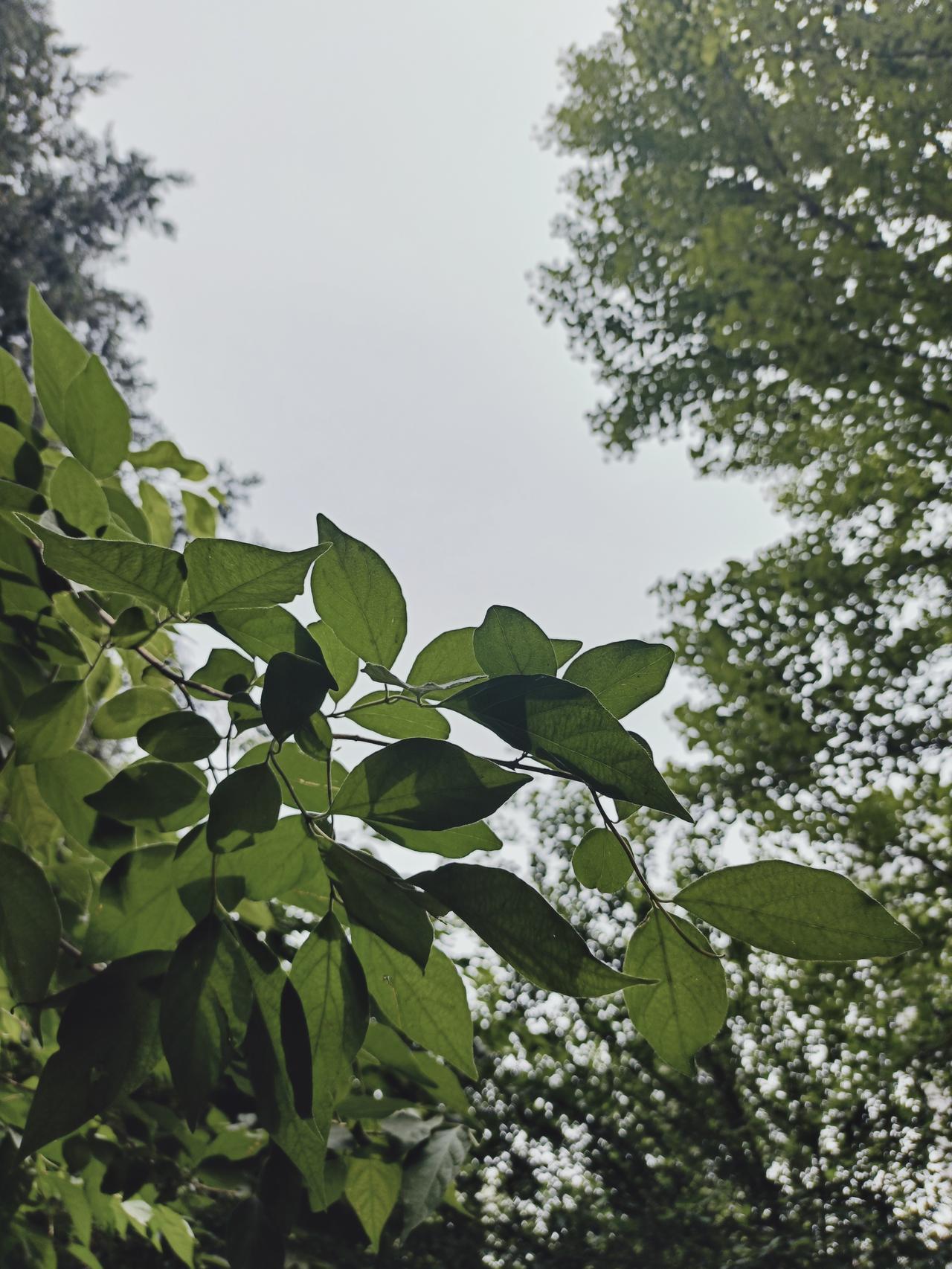 分享你的随手拍