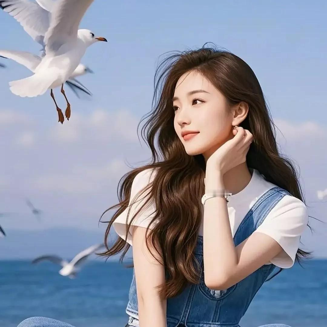 海鸥翩翩起，轻抚发梢间。海鸥 翩翩起舞海鸥 海鸥照 海鸥写真 夕阳海鸥 海鸥自拍