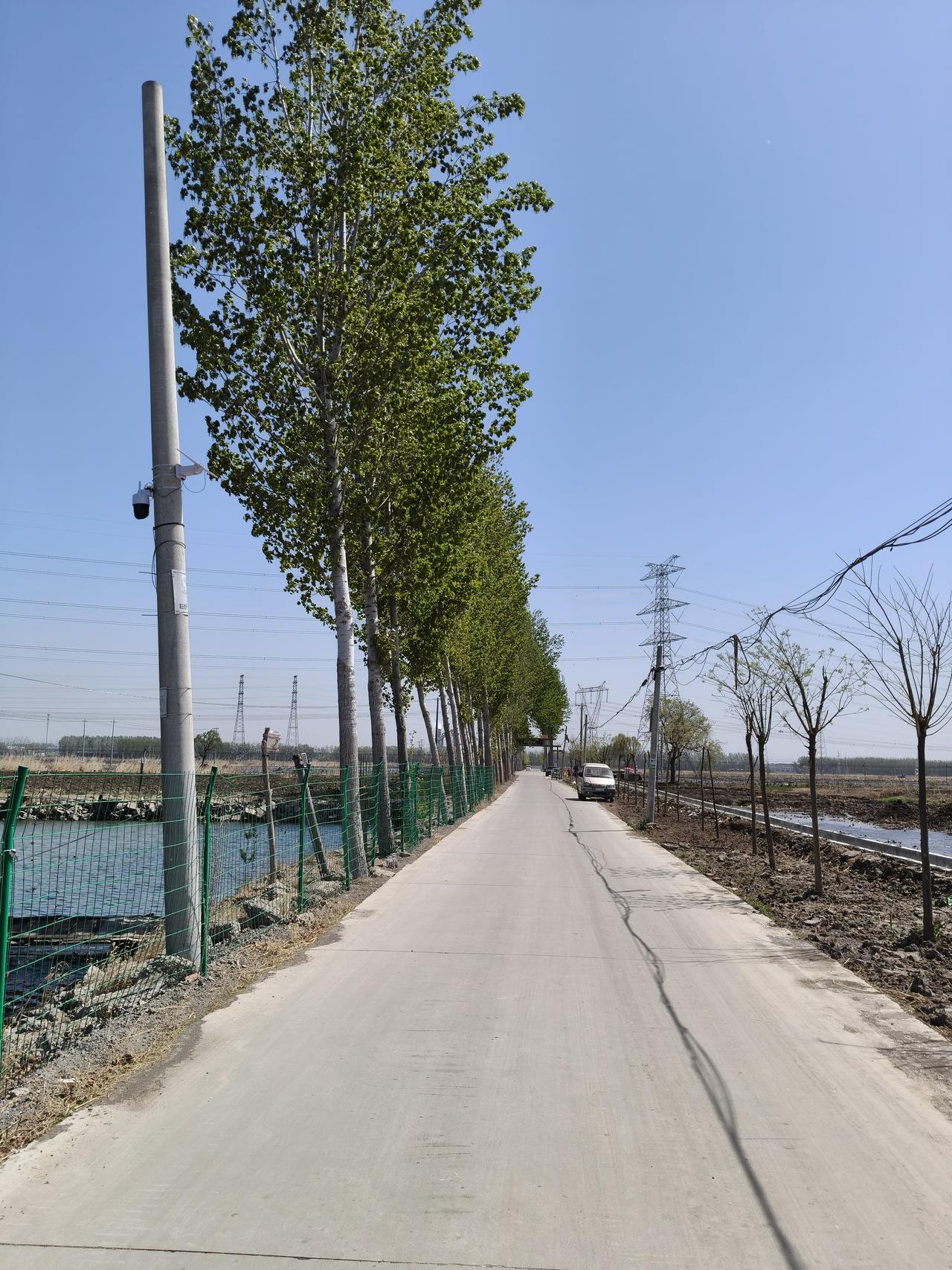 上周四上午整个天都阴沉沉的，中午时分居然下起了冰雹，噼里啪啦，紧接着就是暴风骤雨