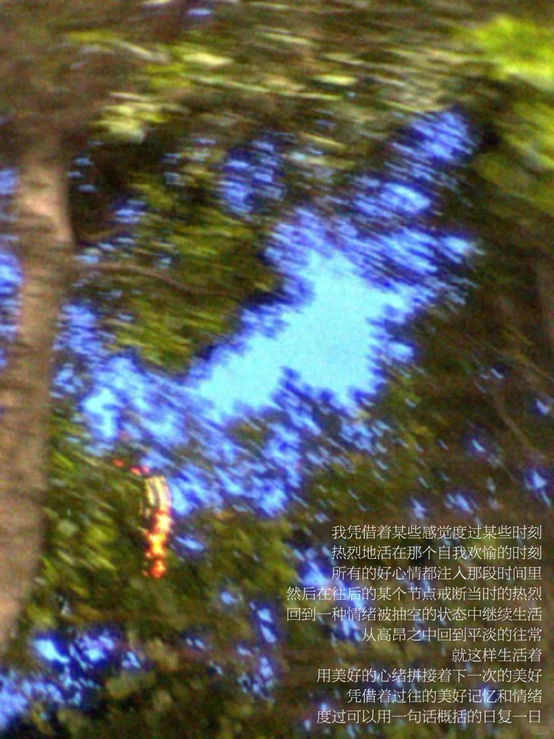 日复一日，我真实又虚幻地拥有一些事物。