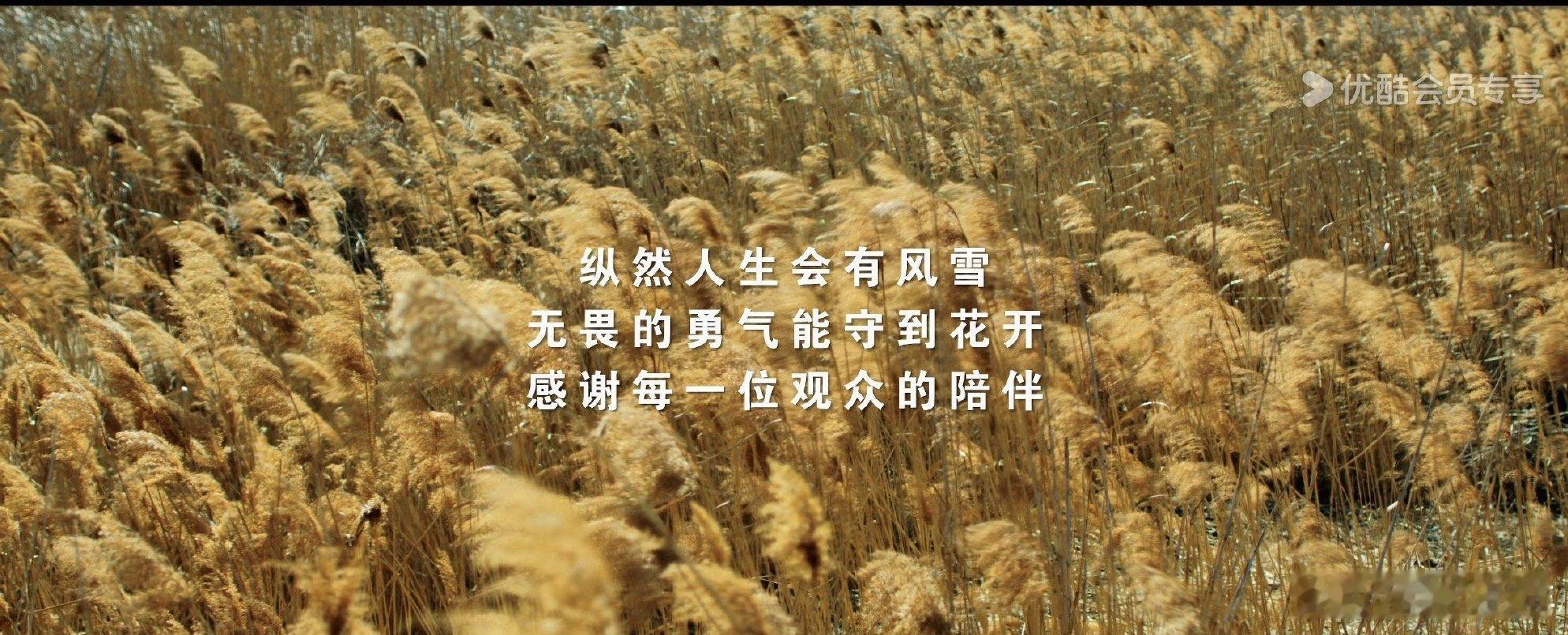 成毅成毅长安二十四计cy成毅谢淮安成毅长安二十四计cy成毅成毅谢淮安cy成毅碎觉